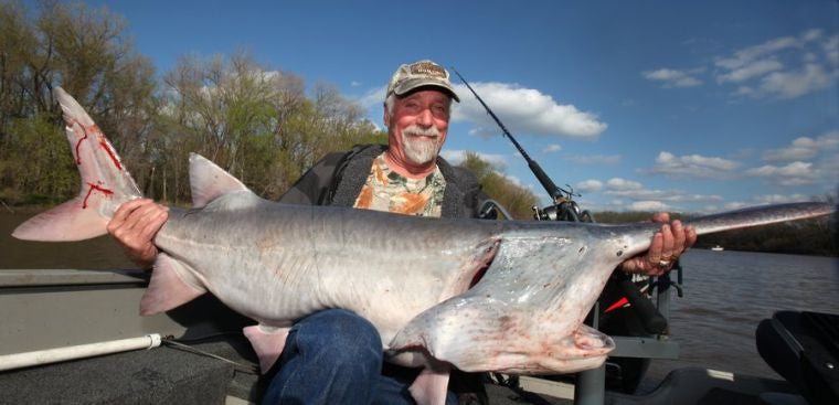 Montana Paddlefish: Best Snagging Spots and Tips - Best Fishing in